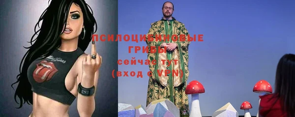 круглые Белокуриха