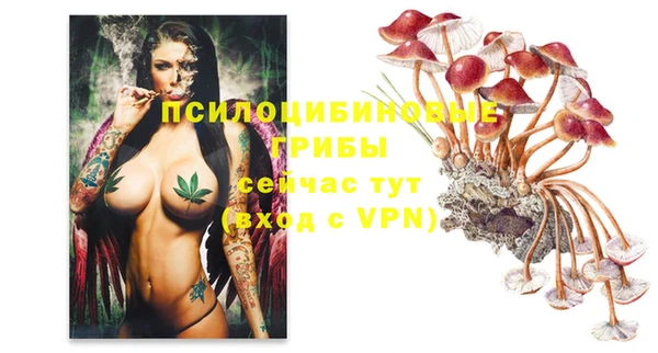 спиды Беломорск