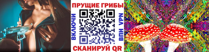 Галлюциногенные грибы Magic Shrooms  Купить закладки  Дубовка 